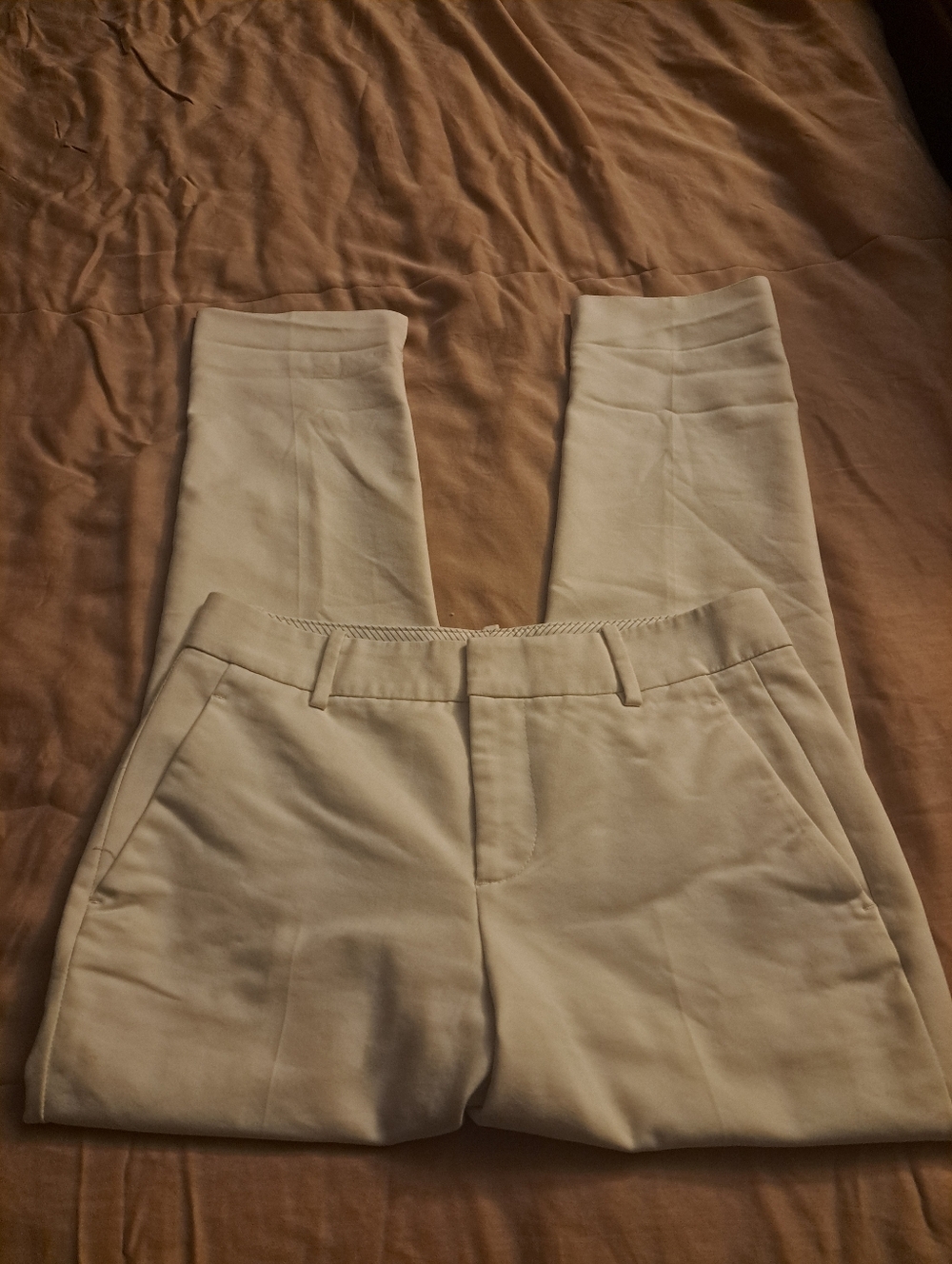 Women's Banana Republic Sloan Pants Size 2R